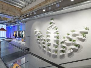 Nuevas experiencias de cliente en retail: arte y ocio para atraer nuevos públicos (Trebol)